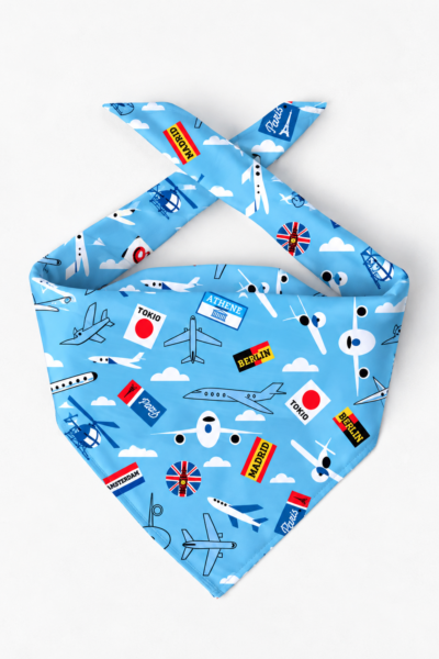 Sky-Blue Global Scarf – Premium Satin Printed Scarf | Kalavaasi