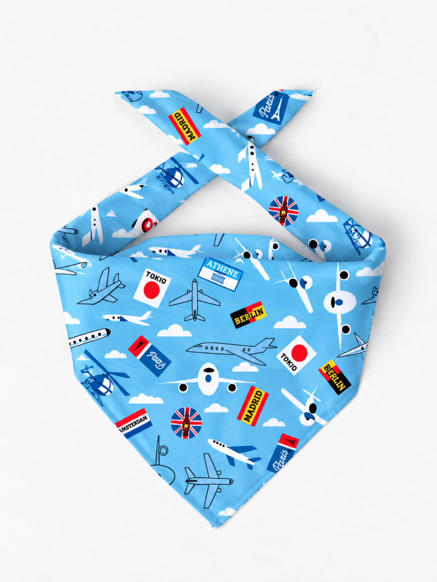 Sky-Blue Global Scarf – Premium Satin Printed Scarf | Kalavaasi