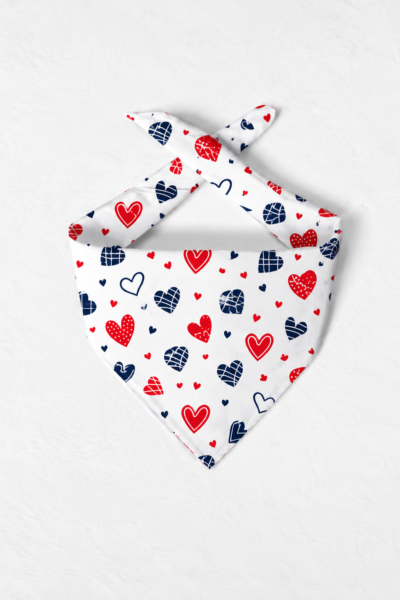 Heart-Print Silk Scarf – Premium Satin Printed Scarf | Kalavaasi