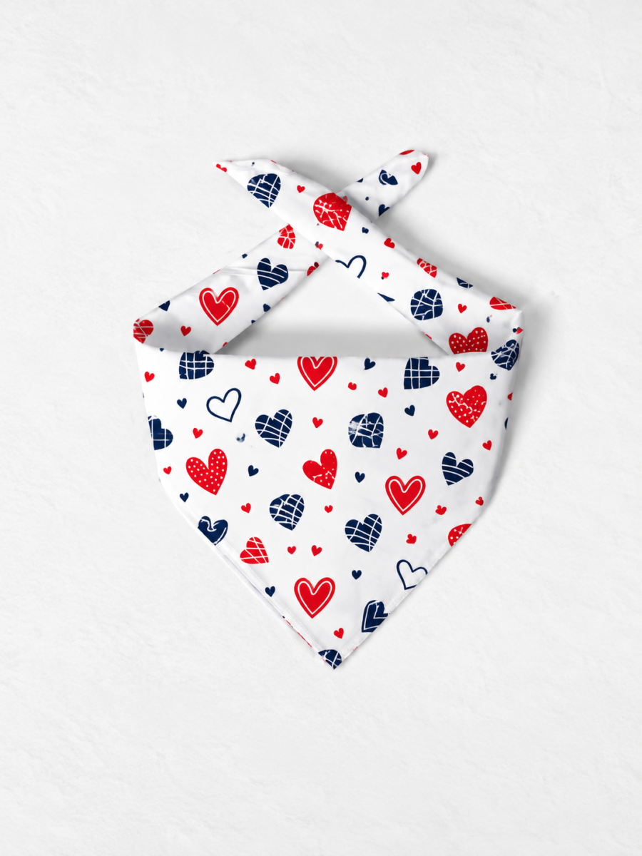 Heart-Print Silk Scarf – Premium Satin Printed Scarf | Kalavaasi